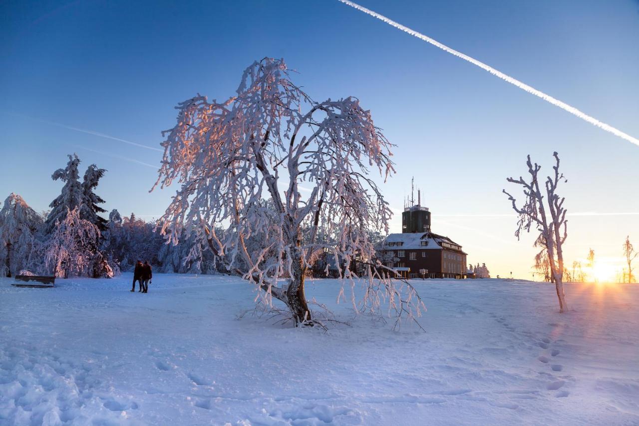 The Suite Winterberg Deluxe - Exklusive Ausstattung, Bestlage Zwischen Skikarussell Und Marktplatz, Eigener Garten, Ski- Und Fahrradraum, Ruhige Suedausrichtung, Wlan, Hundefreundlich Extérieur photo