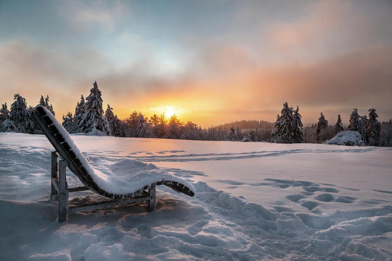 The Suite Winterberg Deluxe - Exklusive Ausstattung, Bestlage Zwischen Skikarussell Und Marktplatz, Eigener Garten, Ski- Und Fahrradraum, Ruhige Suedausrichtung, Wlan, Hundefreundlich Extérieur photo